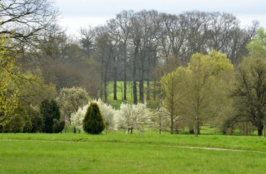 Versailles-Chèvreloup Arboretum, Le Chesnay-Rocquencourt, France